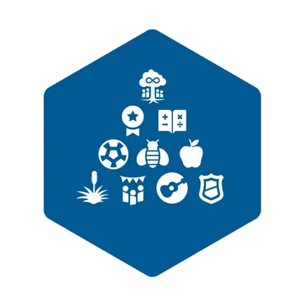 Ashfield Public School Читы