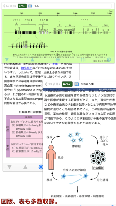 南山堂医学大辞典 第20版(ONESWING)のおすすめ画像4