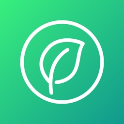 Food additive scanner