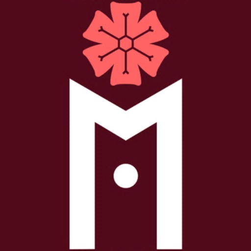 Chortkiv Pocket сity AR