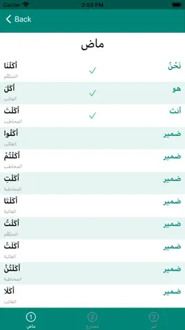 Game screenshot Arabugator, Arabic conjugation hack