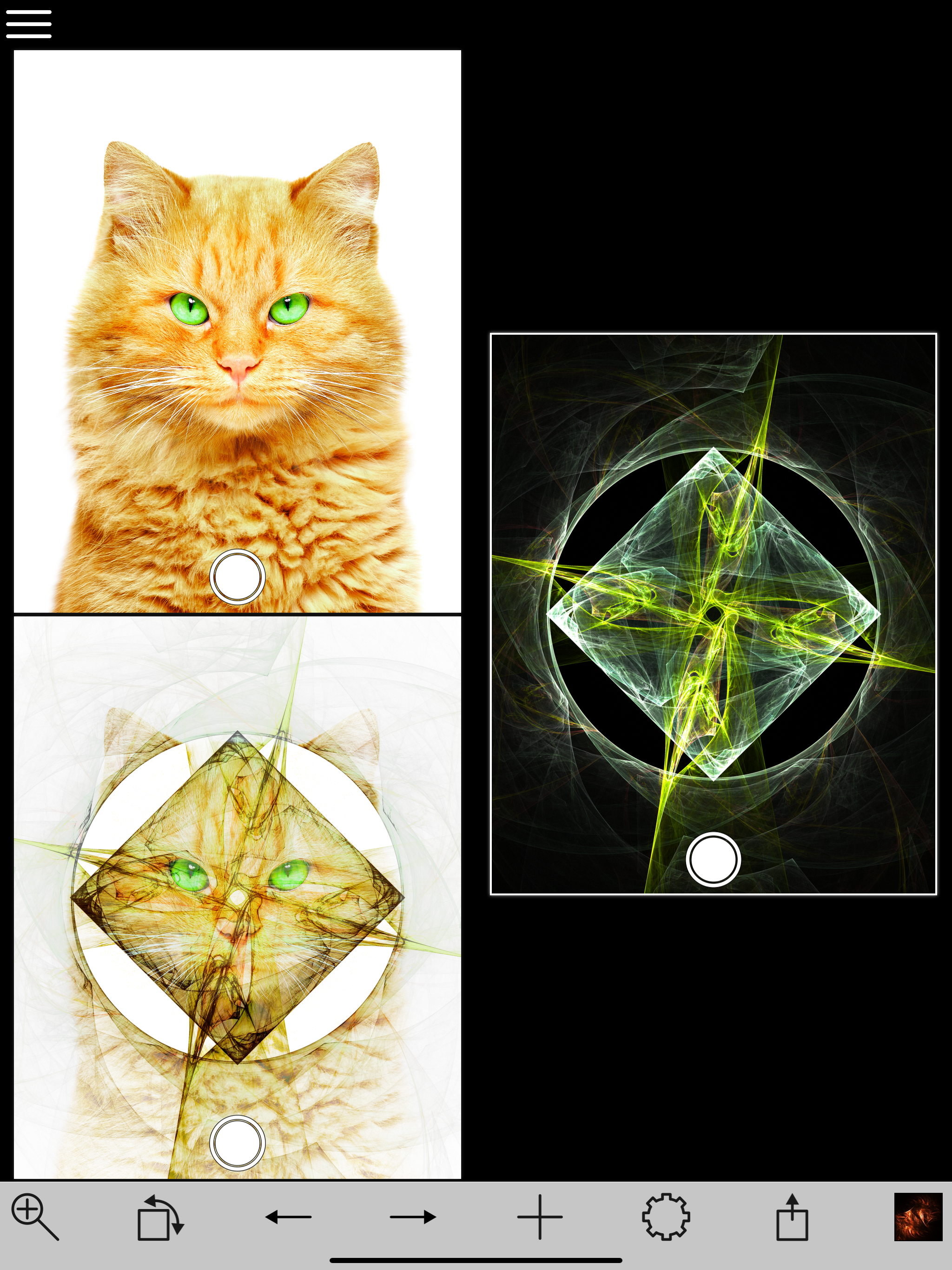 Chaos Lens