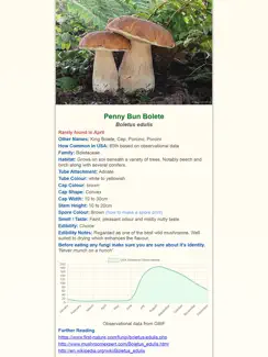 Shroomify - Mushroom ID USA iPad image 2