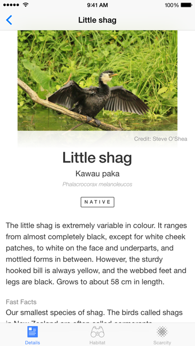 Screenshot #2 pour New Zealand Marine Life