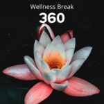 Wellness Break 360