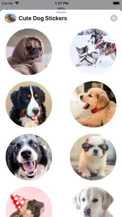 Cute Dog Sticker Set iPhone image 3