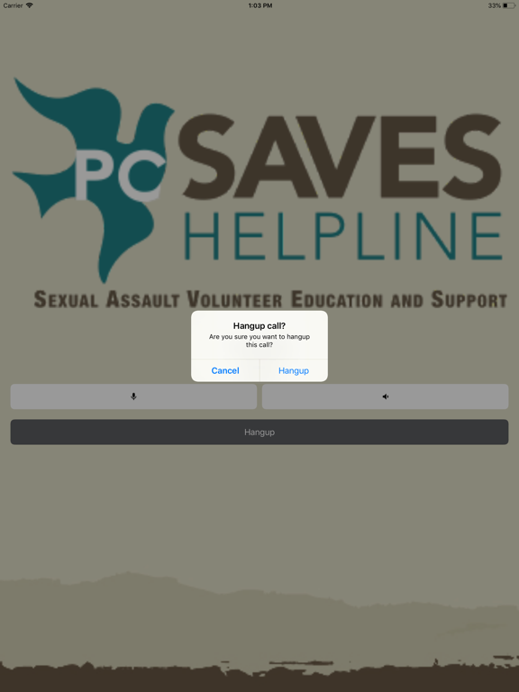 Screenshot #6 pour PC SAVES Helpline
