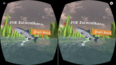 FVRSalmon screenshot 2