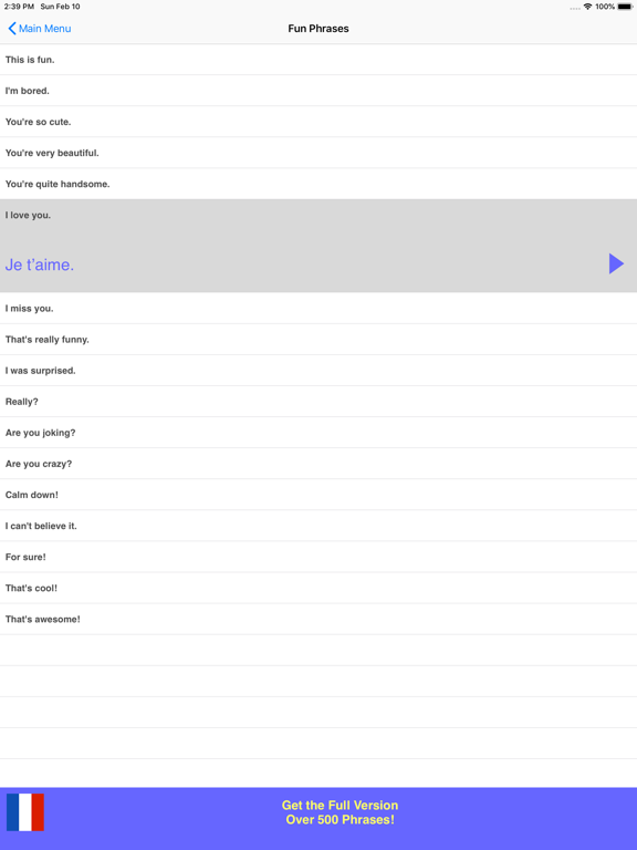Speak French Phrasebook Lite iPad screenshot 5 - Travel app