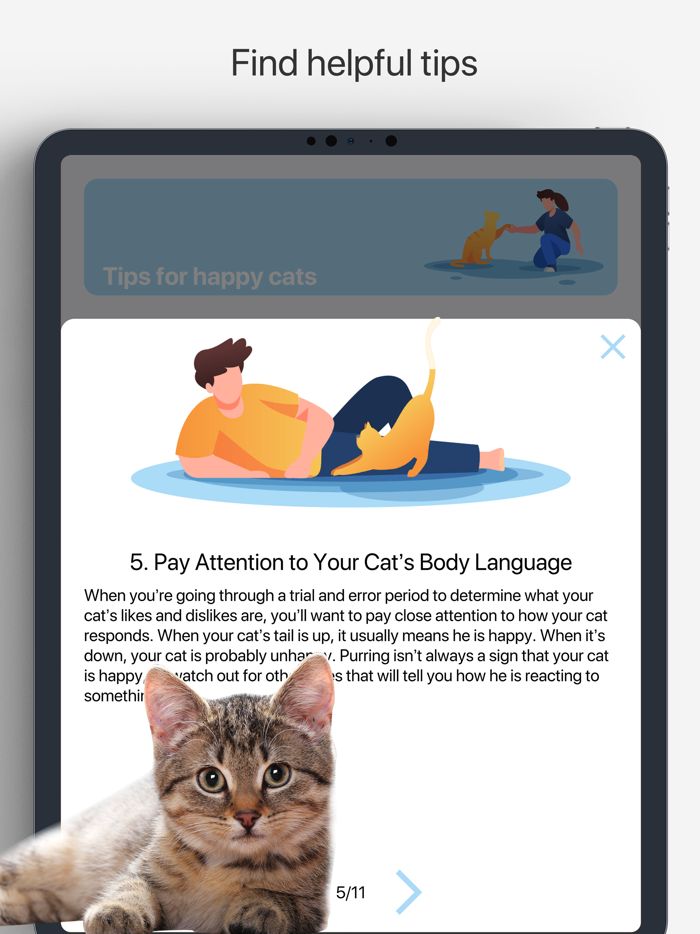 Games for Cats Cat Toy – Meow