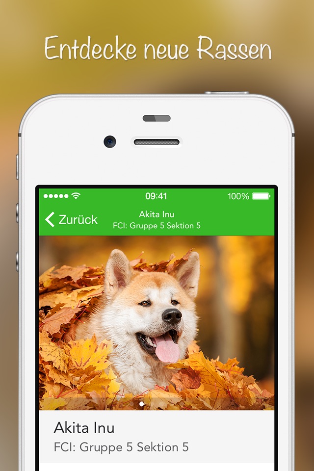 iKnow Dogs 2 PRO screenshot 3