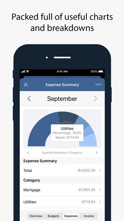 Numero: Personal Finance screenshot-5