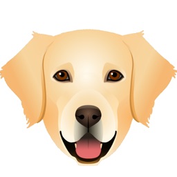 My Golden Retriever