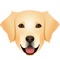 Finally an App tailor made for your Golden Retriever*