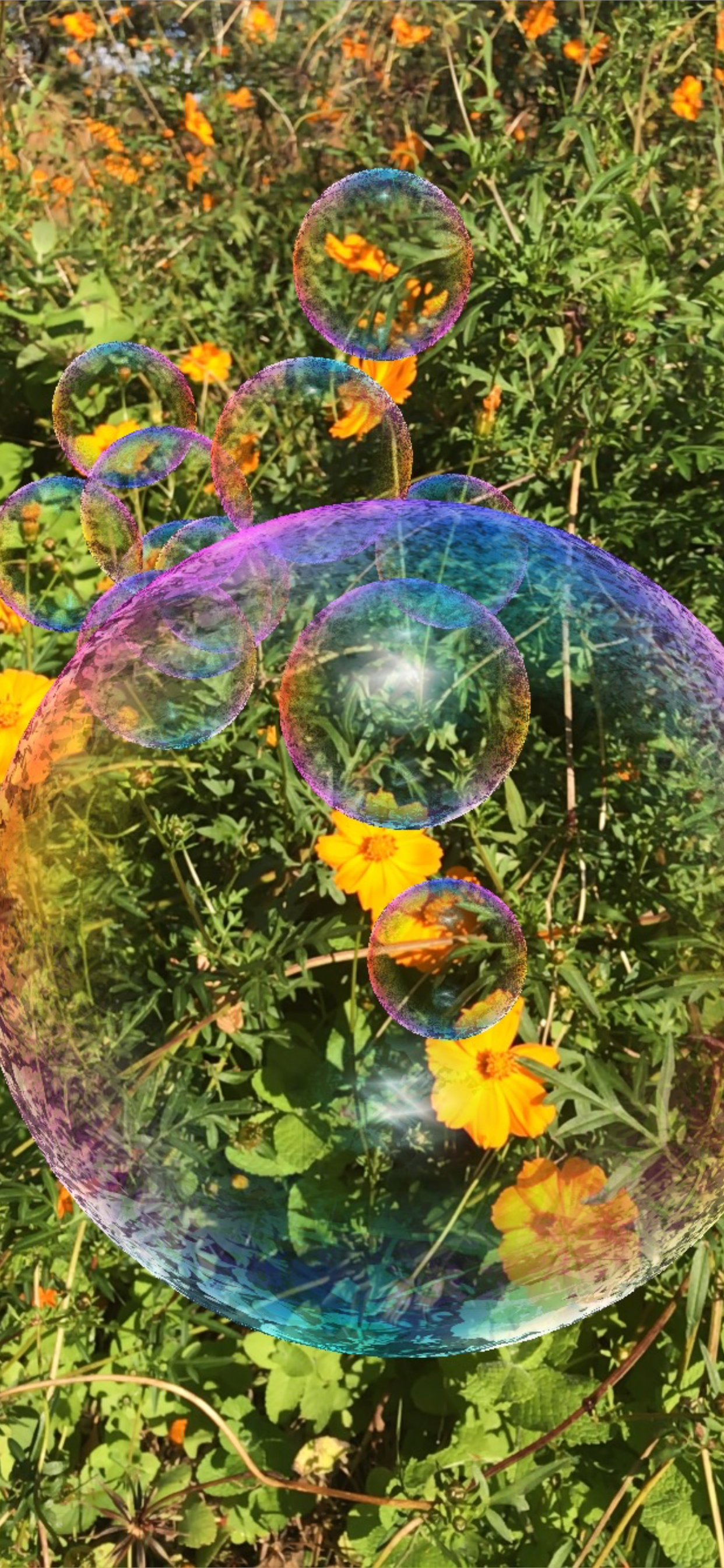 Bubbles AR/MR