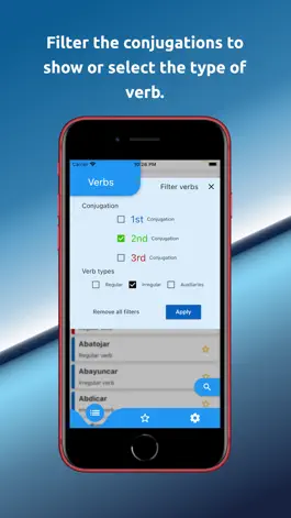 Game screenshot Spanish Verbs and Conjugations apk