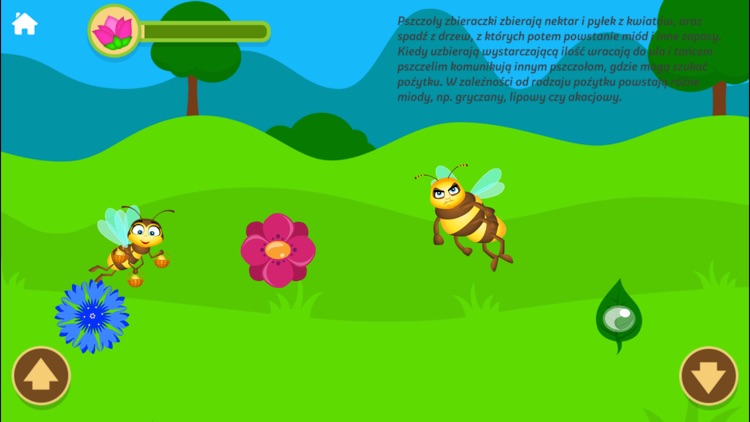 Pszczoła – gra dla dzieci