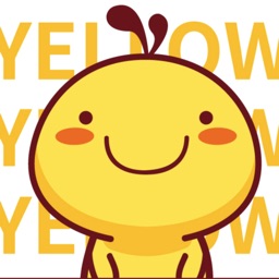 Yellow Little Chicken