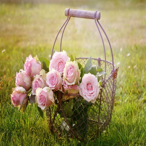 Flowers for your love