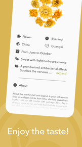 The Tea: Brewing Guide screenshot