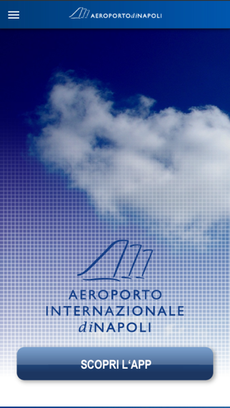 Naples International Airport Screenshot
