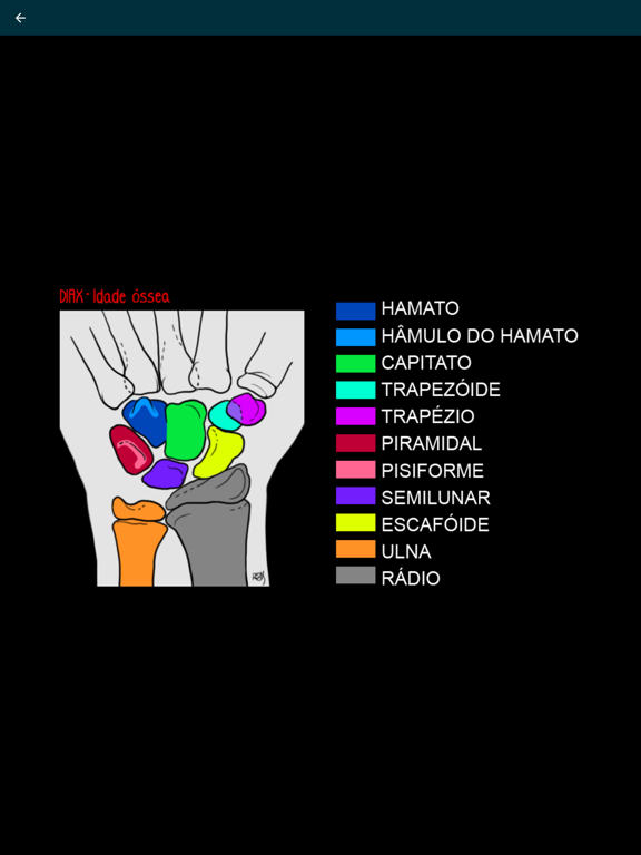 DIAX - Bone Age iPad screenshot 5 - Medical app