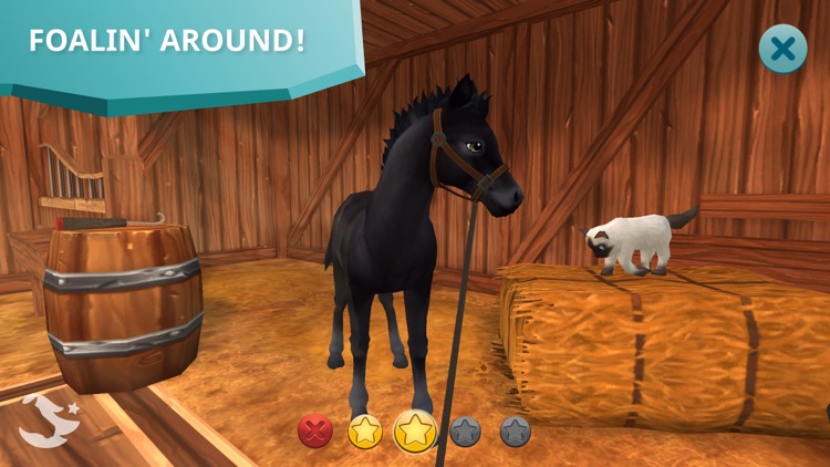 Star Stable Horses screenshot-7