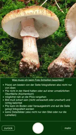 PilzSnap - Pilze sammeln! iPhone image 4
