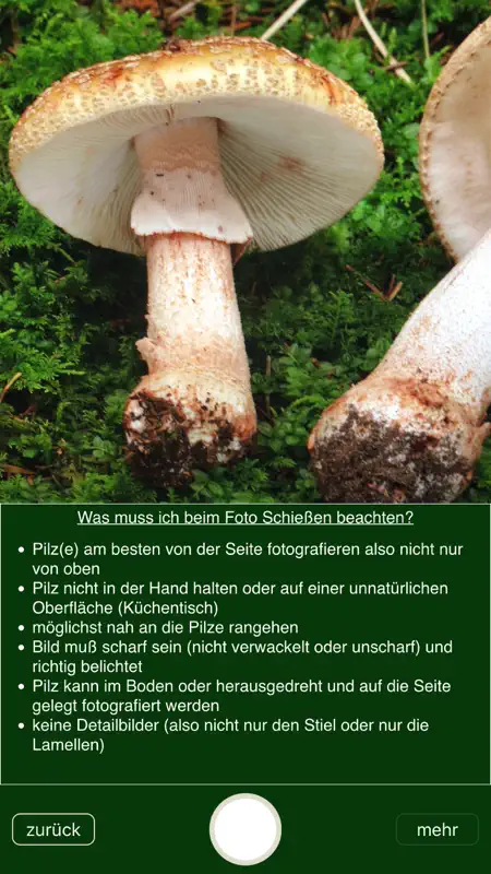 PilzSnap - Pilze sammeln! screenshot 4 of 10