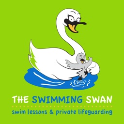 The Swimming Swan