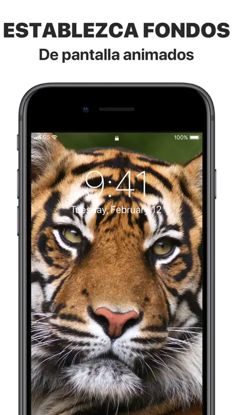 Iconos e fondos de pantalla