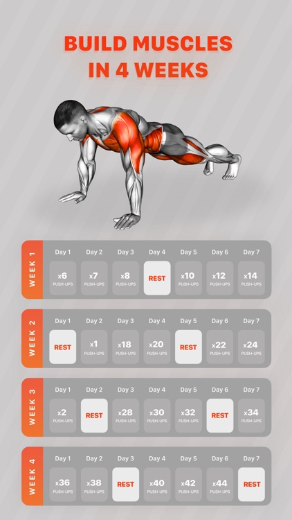 Workouts by Muscle Booster