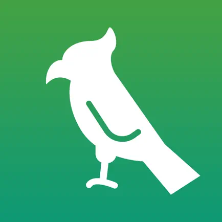 Memorize long sentences Читы