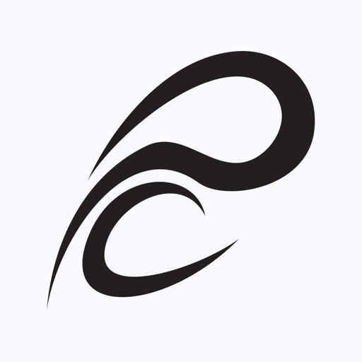 Polyakov company
