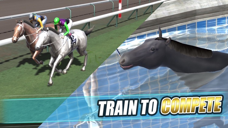 iHorse:The Horse Racing Arcade screenshot-3