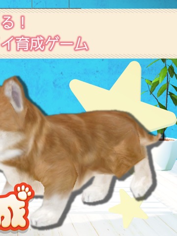 幸せの犬育成ゲーム3Dのおすすめ画像2