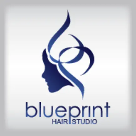 Blueprint Hair Studio Cheats