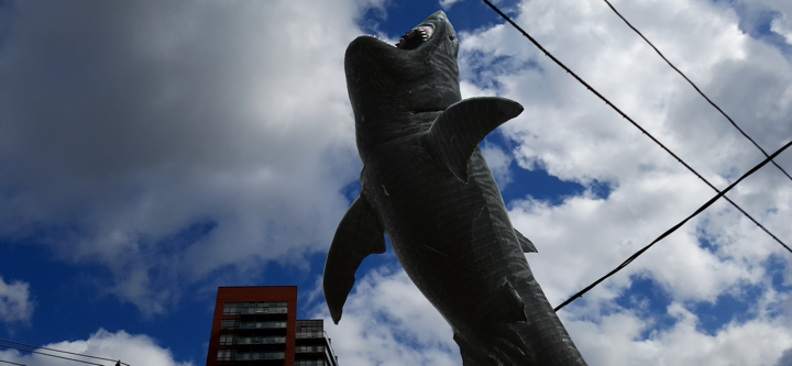 Dino Dan: Dino Cam screenshot 3