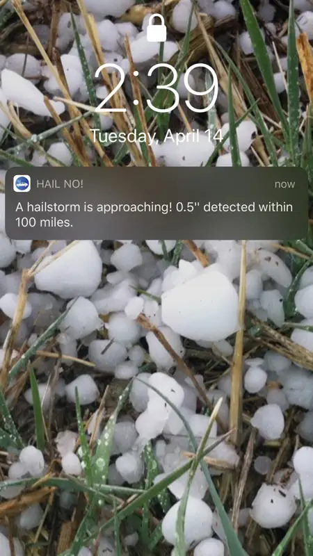 Hail No! screenshot 3 of 3
