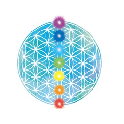 瑛之心養生 孫安迪醫師 園地