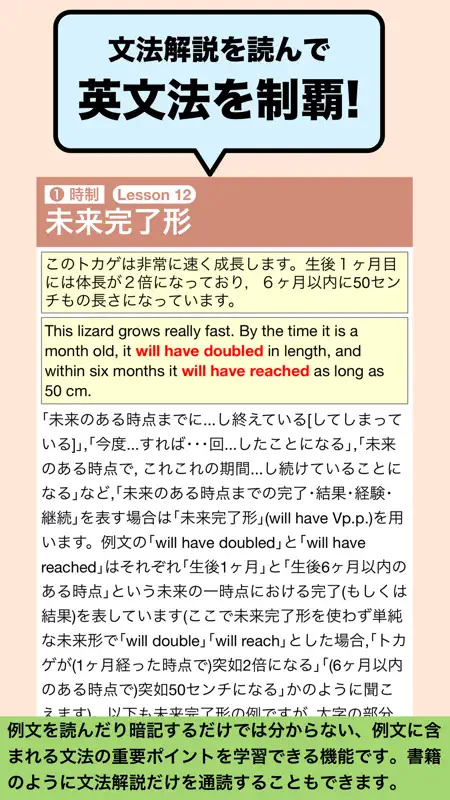 ALL IN ONE 英語全分野を制覇! screenshot 5 of 5