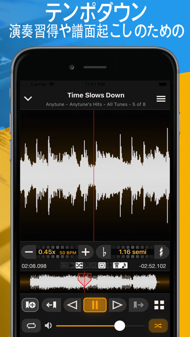 Anytune Pro+ screenshot1