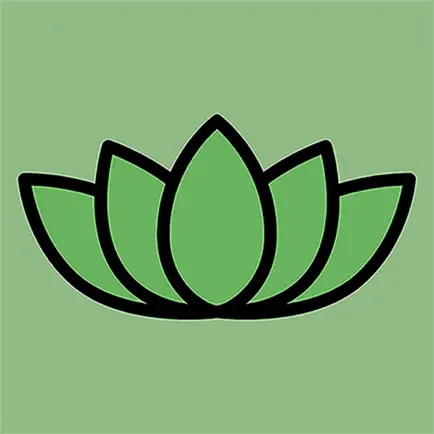 Daily Yogi Cheats