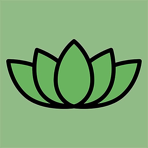 Daily Yogi