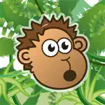 Catchy Monkey App Contact