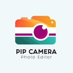 PIP Camera