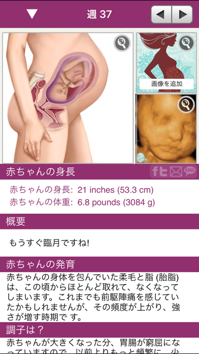 iPregnant Liteのおすすめ画像2