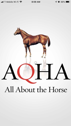 AQHA 2019 Rulebook