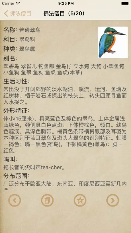 鸟类大全