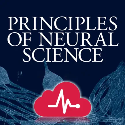Principles of Neural Science Cheats